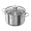 Zwilling Kochtopf 20 Cm, 18/10 Edelstahl
